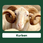 Kurban